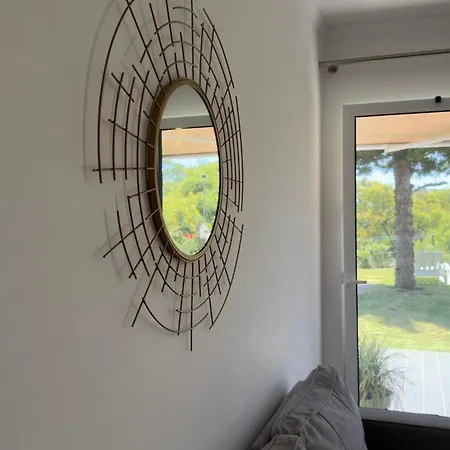 Apartment Discovery 1